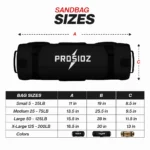 PROSIDZ functional training sandbag for strength, grip, core stability, and endurance workouts