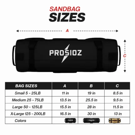 PROSIDZ functional training sandbag for strength, grip, core stability, and endurance workouts