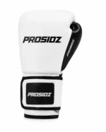 PROSIDZ boxing gloves