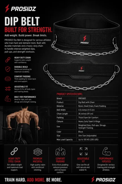 Weighted dip belt with chain for pull-ups dips and bodybuilding training