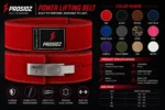 Premium suede leather lifting belt with bold PROSIDZ branding.