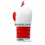 OEM Lace-Up Boxing Gloves with white knuckle padding, red wrist sections and PSI Prosidz Industries branding