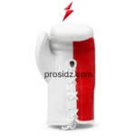 OEM Lace-Up Boxing Gloves showing white laces, red side panel, white padding and PSI Prosidz Industries branding