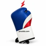 PROSIDZ Industries Pro Boxing Gloves showing black palm laces