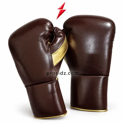 Brown and gold gloves with rounded knuckles and extended cuffs beneath the PSI logo, from Prosidz Industries, Boxing Gloves Manufacturer Sialkot.